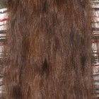 Rövid haj hosszú haj